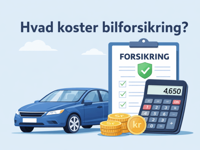 Hvad er normalt at betale i bilforsikring?